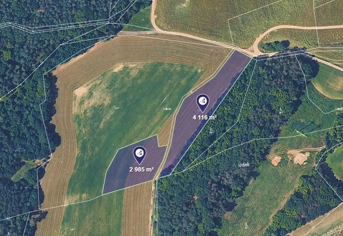 Prodej pole 7101 m²